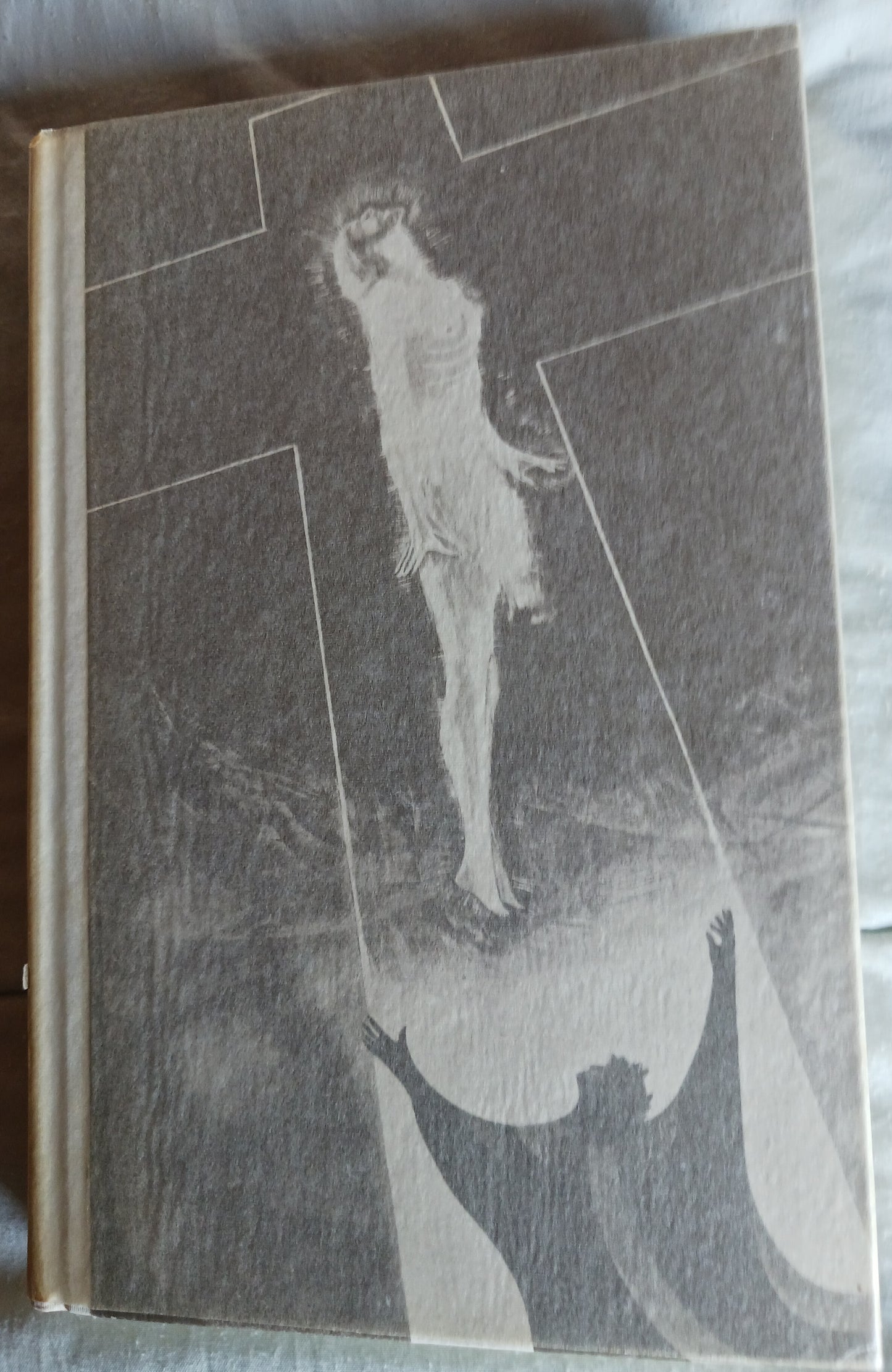 Divine Comedy Trilogy by Dante Alighieri (HC, DJ, Slip Cover)